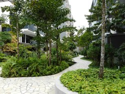 The Rainforest (D23), Condominium #188037222